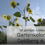 50 Jahre Goldberg